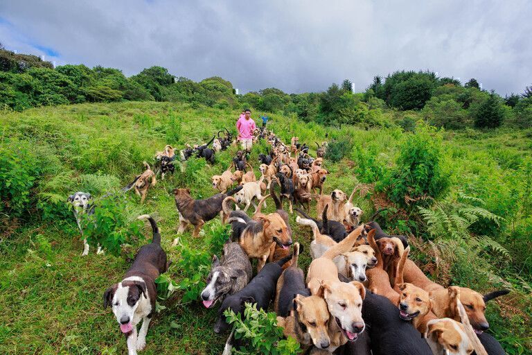 Regresa El Zaguatón, la maratónica que apoya a Territorio de Zaguates