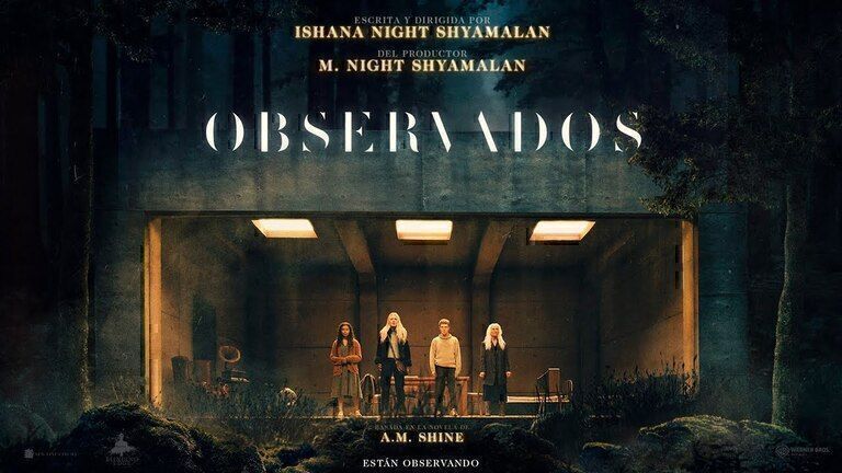 ¿Dónde están? ¿Quiénes son? ¿Cuáles son? Observados