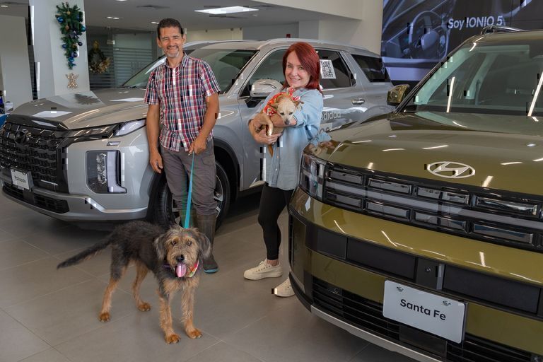 Ya comenzó el Zaguatón Navideño Navideño Hyundai, la maratónica que llenará las pancitas de los perritos de Territorio de Zaguates