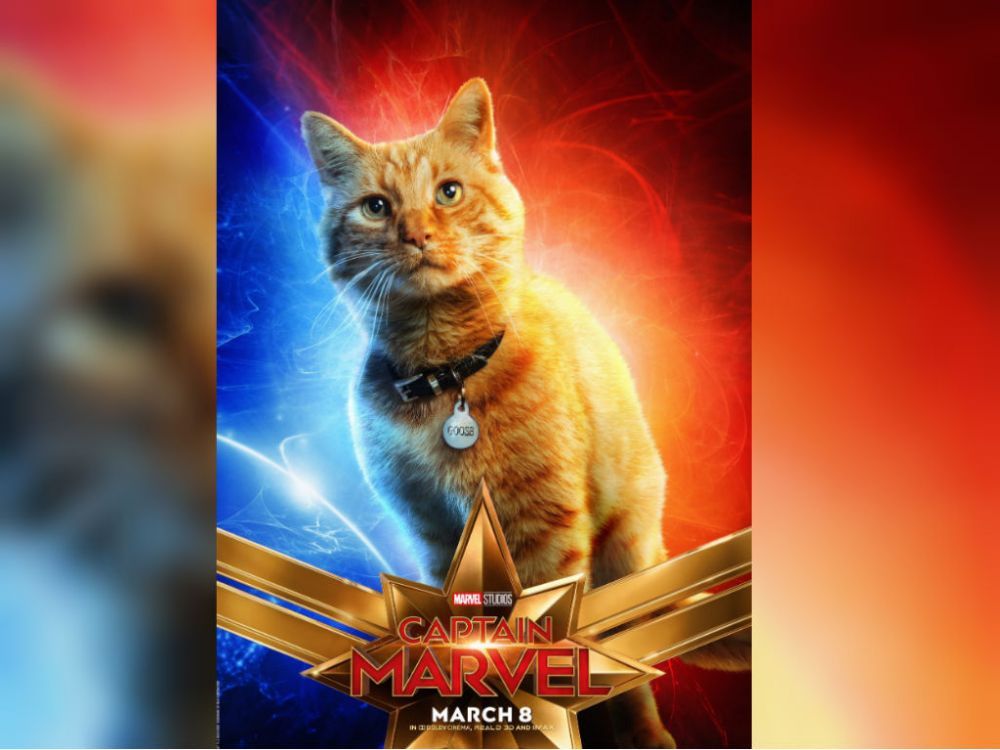 Captain Marvel: Goose The Cat (Chewie – Teoría)