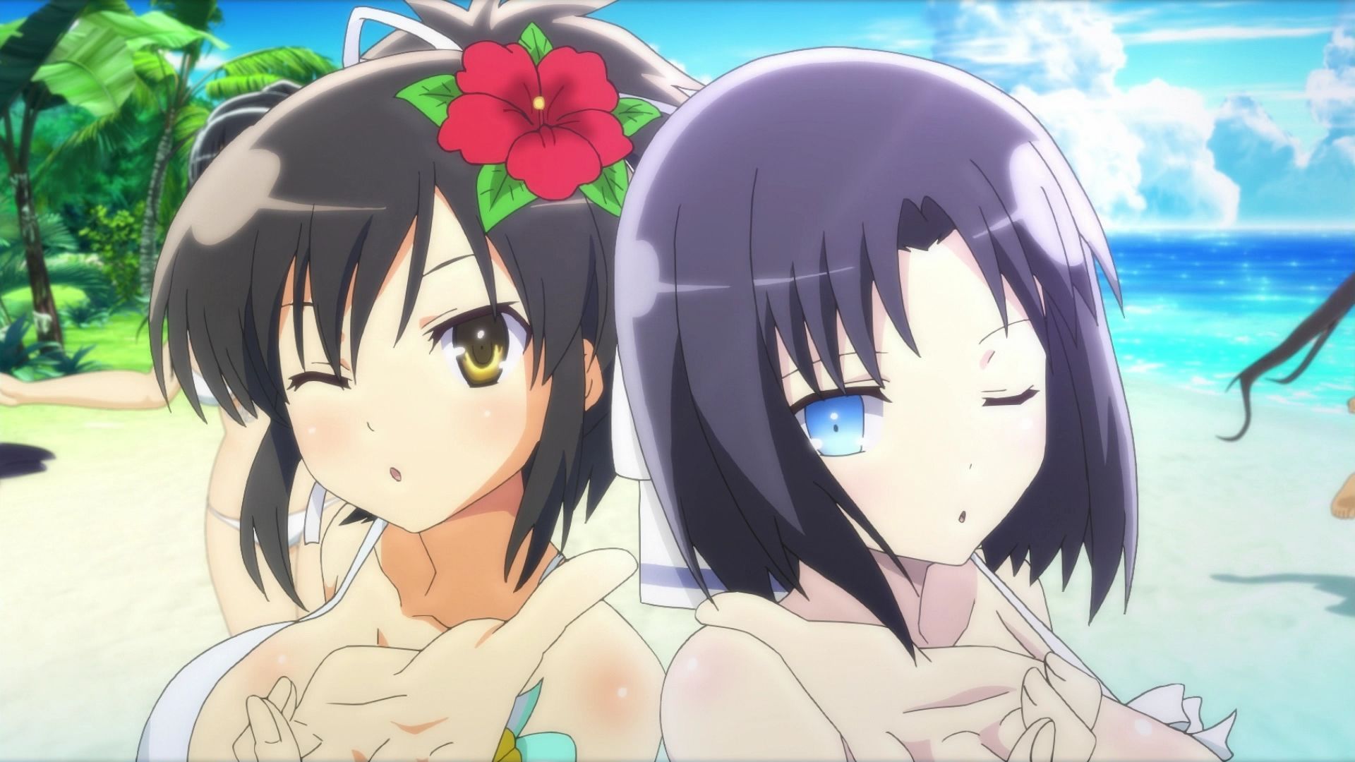 Senran Kagura: Peach Beach Splash tendrá dos ediciones de colección para Europa