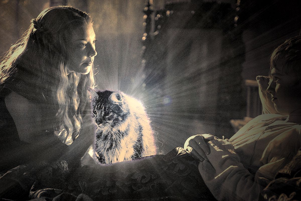 Ser Pounce, el querido gato de los fanáticos de Game of Thrones, fue asesinado