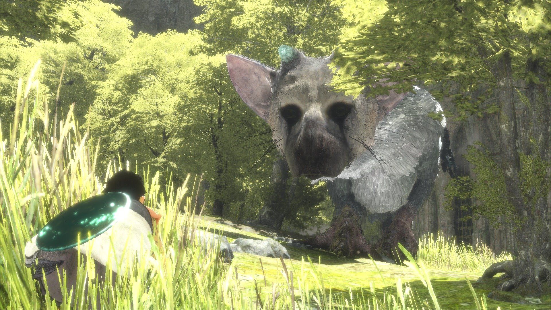 Se anuncia el soundtrack de Last Guardian en acetato