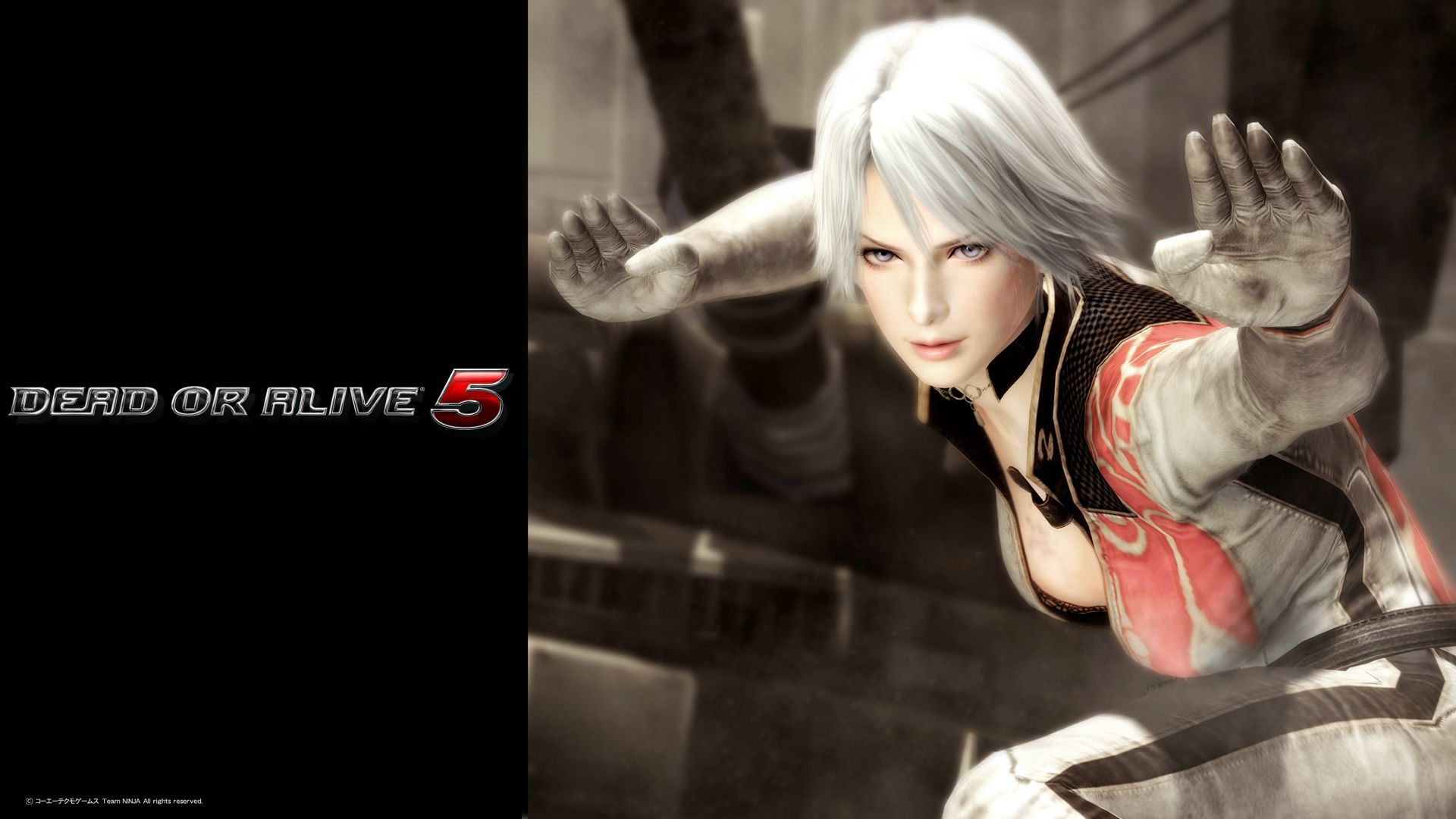 Dead or Alive 5 llega con problemas para PC