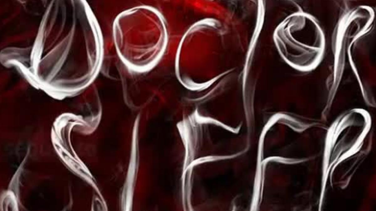 [Cine] Doctor Sueño ya se terminó de grabar