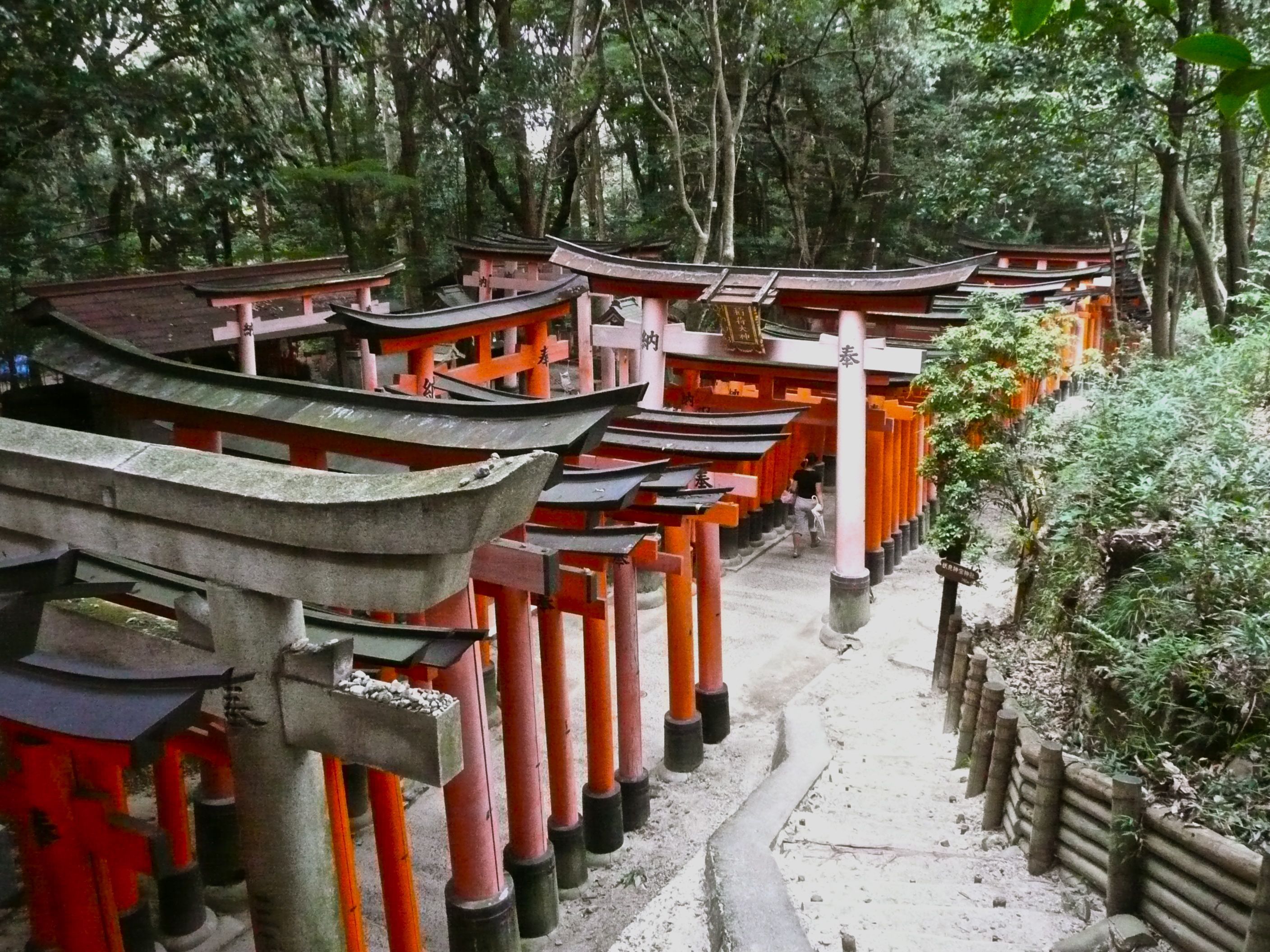 Japón: belleza en cualquier lugar (Parte I)