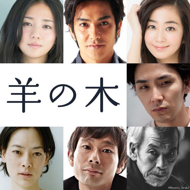 Lanzan el primer trailer del live action de Hitsuji no Ki