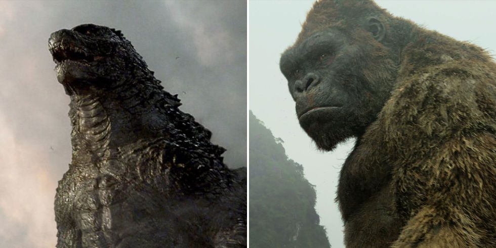 Godzilla vs. Kong inicia rodaje y se revela su sinopsis