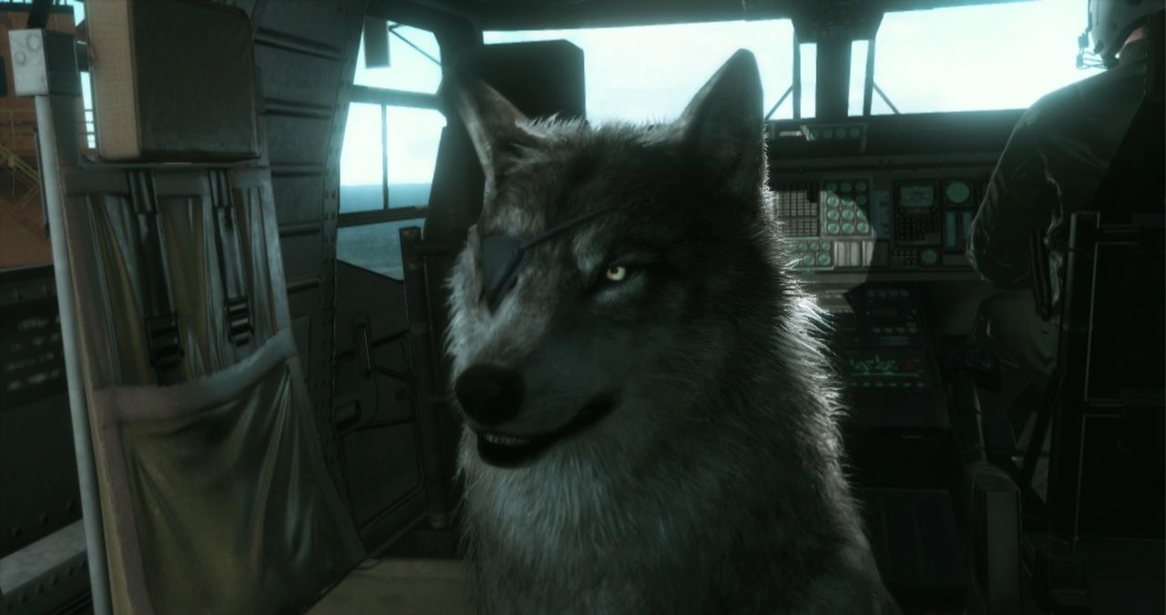 Podremos entrenar a nuestros lobos en Metal Gear V: Tthe Phantom Pain.