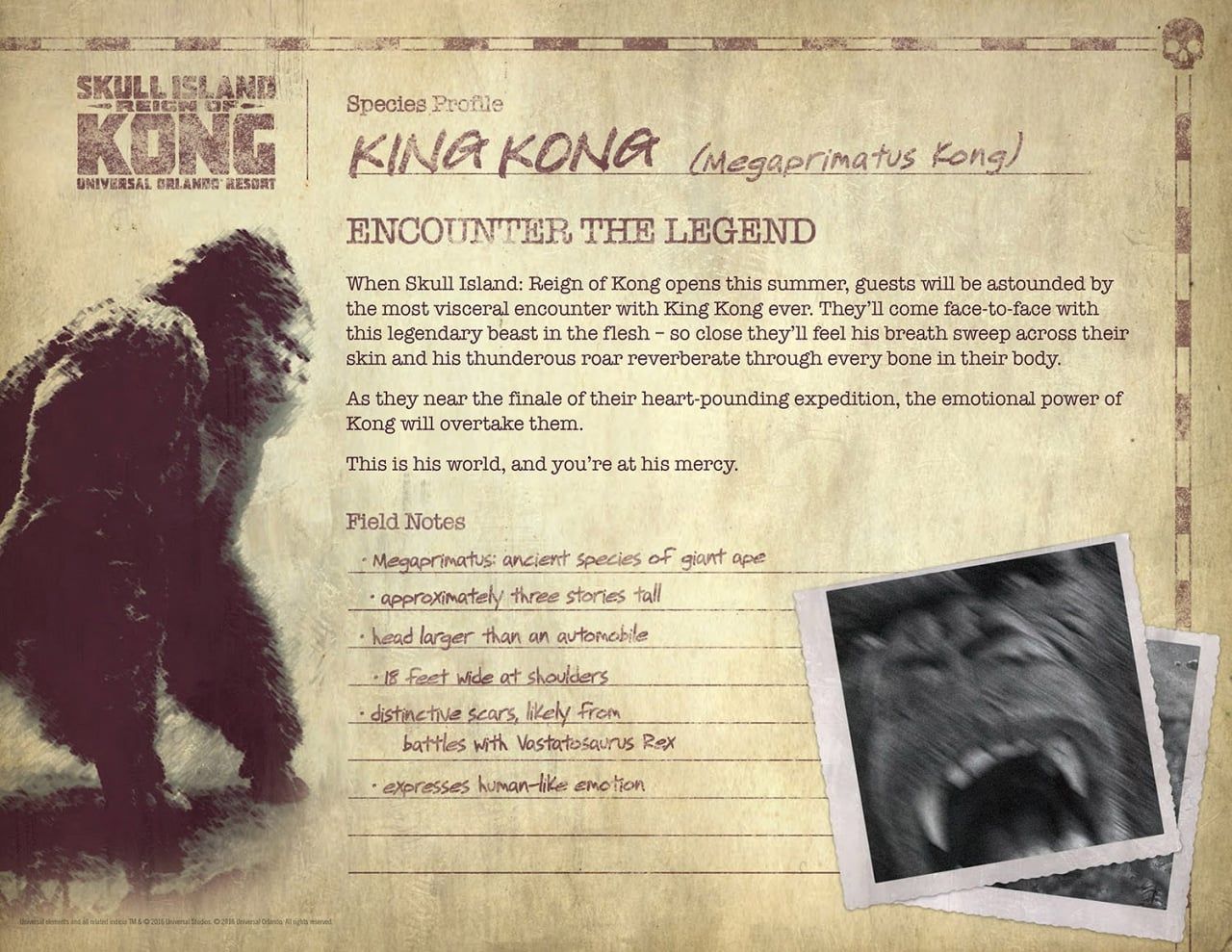 Primer vistazo a la nueva atracción Skull Island: Reign of Kong de Universal Orlando
