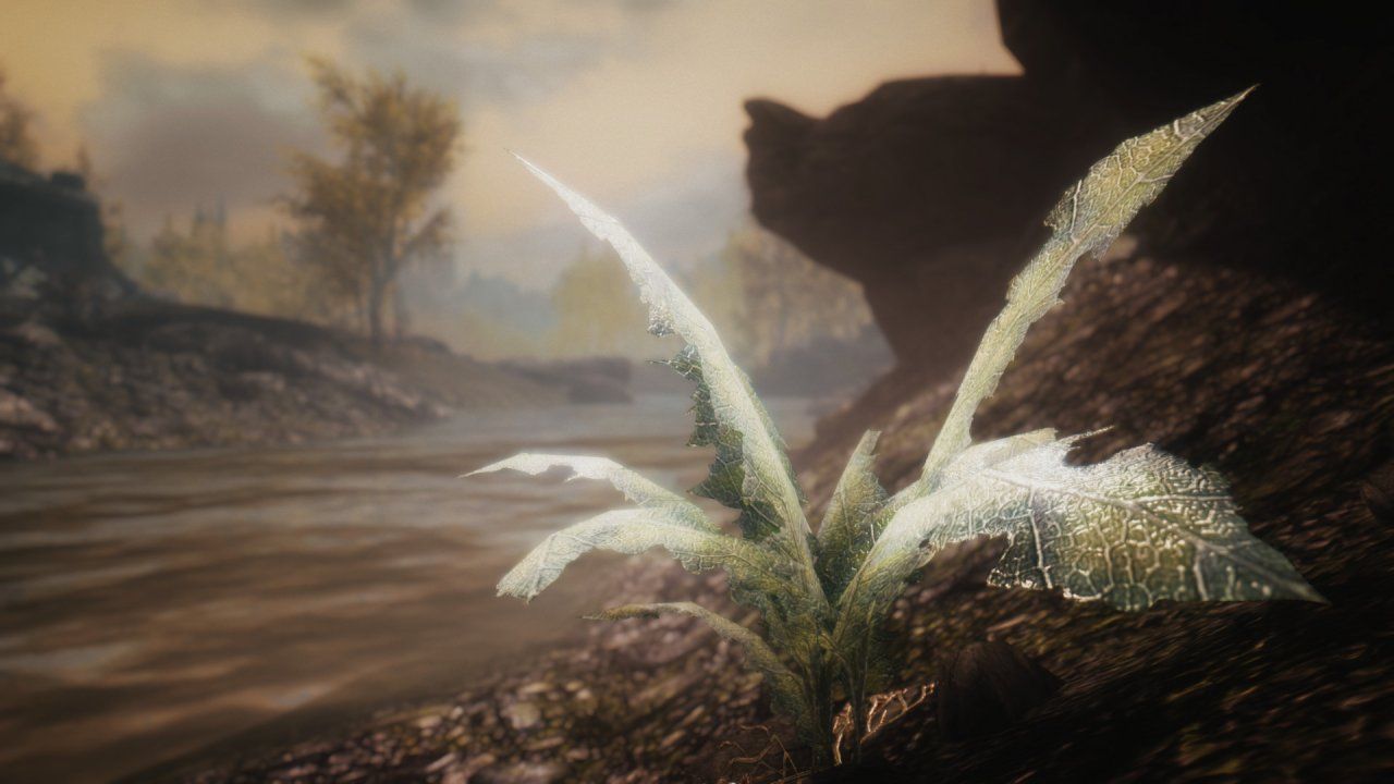The Elder Scrolls V: Skyrim inicia su precarga en Nintendo Switch